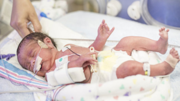 Untitled design(473)